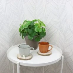 OTIX Koffiekopjes - Met Oor - Set Van 4 - Verschillende Kleuren - Aardewerk - 250 Ml 13 OTIX Koffiekopjes - Met Oor - Set Van 4 - Verschillende Kleuren - Aardewerk - 250 Ml -Bekerwinkel 1200x1200 805