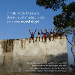 Soolong Theepot - Original - Glas - 1500ml - 1stuks 7 Soolong Theepot - Original - Glas - 1500ml - 1stuks -Bekerwinkel 1200x1200 973