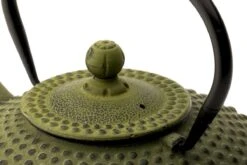 Bredemeijer - Theepot Xilin 1,25L Gietijzer Groen 15 Bredemeijer - Theepot Xilin 1,25L Gietijzer Groen -Bekerwinkel 1200x800 88