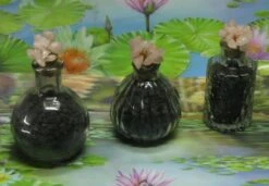 1000g Shungiet Shungite Stenen Voor Water En Ontstoring 22 1000g Shungiet Shungite Stenen Voor Water En Ontstoring -Bekerwinkel 1200x832