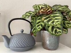 Bredemeijer Theepot Fujian 1.2L Met Filter Warm Grijs 17 Bredemeijer Theepot Fujian 1.2L Met Filter Warm Grijs -Bekerwinkel 1200x899 4